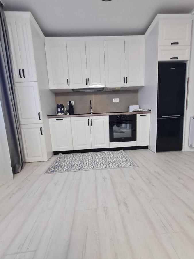 טימישוארה Perfect Residence מראה חיצוני תמונה